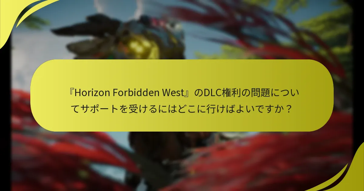 DLC購入を確認するためにどの手順を踏むべきですか？